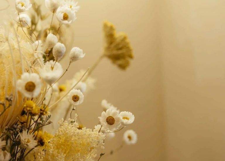 Advanced technology for dental cleaning in Gijón