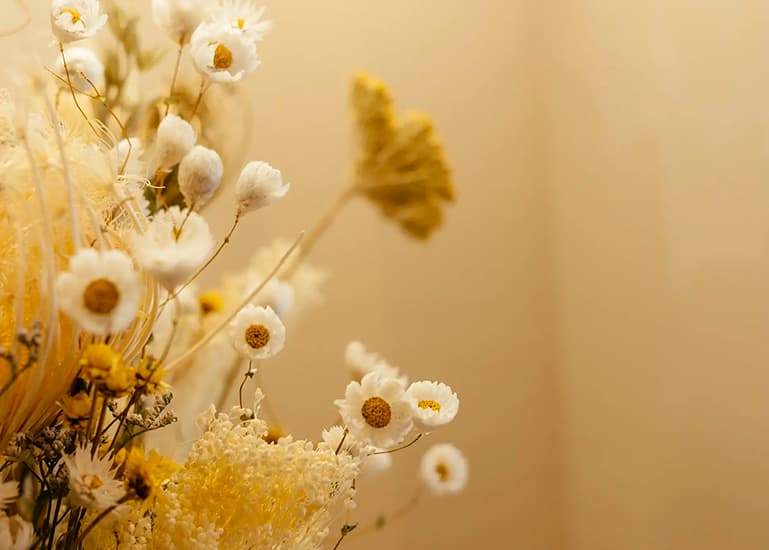 Decoración de la mejor Clinica odontológica de Asturias(Flores)